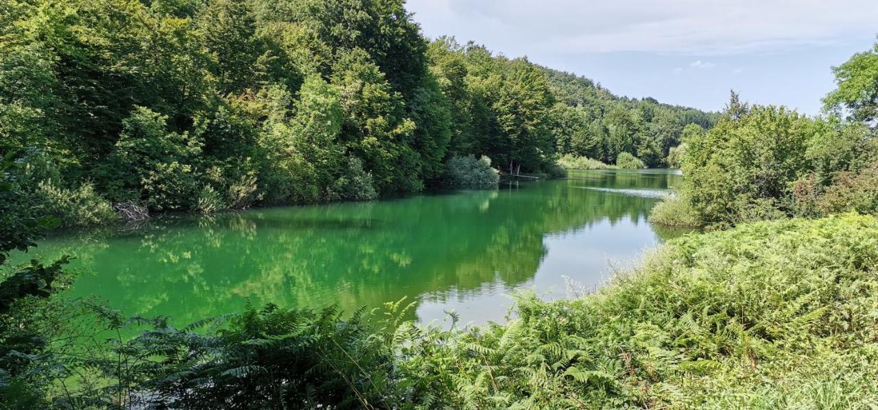 Izvor Διαμέρισμα Ogulin Εξωτερικό φωτογραφία